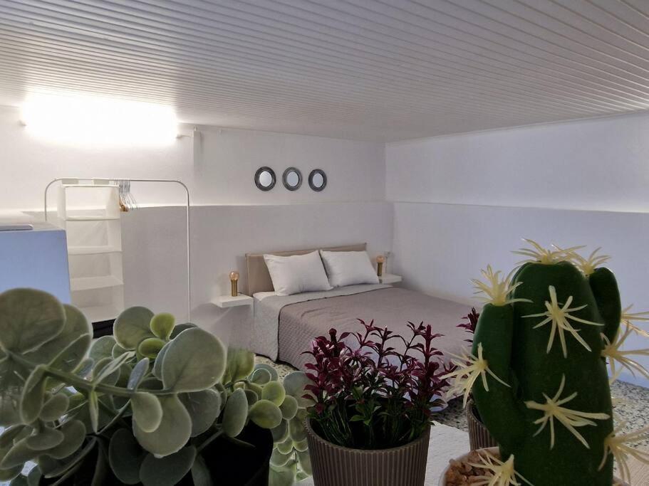 ראפינה Elmy Houses V4 / Thalia מראה חיצוני תמונה